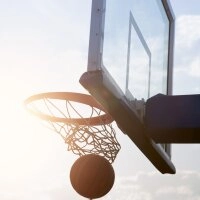 Logo Basketballfeld
