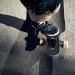 logo-FEZ Halfpipe