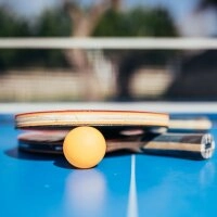Logo Tischtennisplatten