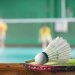 logo-Badmintonhalle SEZ Berlin