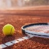 Logo Tennis Court Jahnsportpark