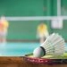 logo-TCW Sports - Badminton