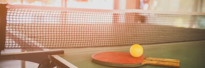 Tischtennisplatte