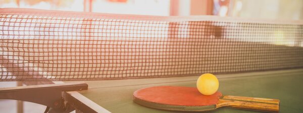 Tischtennisplatte