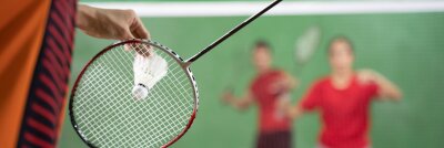 TCW Sports - Badminton
