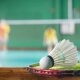 logo-TC Berlin-Mitte - Badminton