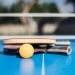 logo-Squash-House Berlin - Tischtennis
