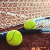 Logo Tennis-Club Berlin-Weißensee e.V.