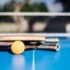 Logo Tischtennisplatte