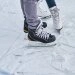 logo-Eisbahn Strandbad Grünau