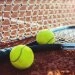 logo-Treptower Teufel Tennis Club e.V.
