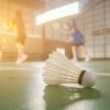 Logo Badminton Gemeinschaft Grünau e.V.