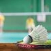 logo-Köpenicker Badminton Club e.V.
