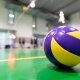 logo-Logo - Marzahner Volleyball-Club e.V.