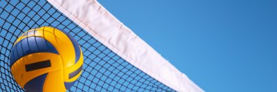 Marzahner Volleyball-Club e.V.