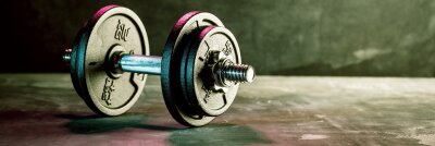 FitX Berlin Hellersdorf