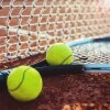 Logo Nikolassee-Tennis-Club Die Känguruhs e. V.