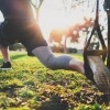 Logo Calesthenics Park Schöneiche