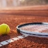 Logo Steglitzer-Tennis-Klub 1913 e.V.