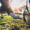 Logo Calisthenics-Anlage