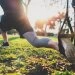 logo-Calisthenics Anlage 