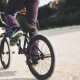 logo-Bikepark Am Wolf