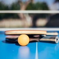 Logo Tischtennisplatte