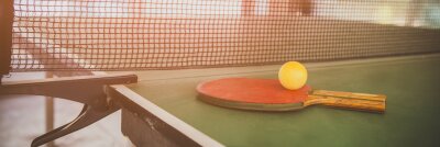 Tischtennisplatten