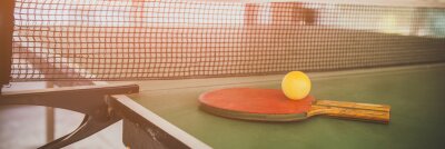 Tischtennisplatten