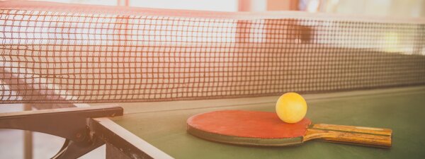 Tischtennisplatte