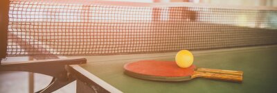 Tischtennisplatte