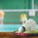 logo-Sportpark Dresden - Badminton