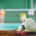 logo-BallsportARENA - Badminton