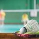 logo-Sportbetriebsgesellschaft Saegeling mbH