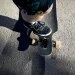 logo-Skatepark