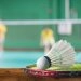 logo-TBS Wünschig - Badminton