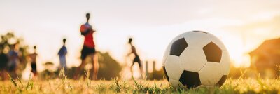 Fußballkäfig