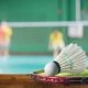 logo-Sportcenter Kautz - Badminton