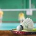 logo-Cologne Sportspark - Badminton