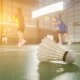 logo-SportsFactory - Badminton