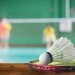 logo-puls fit & wellnessclub - Badminton