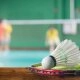 logo-puls fit & wellnessclub - Badminton