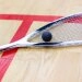 logo-Sportwerk Hamburg - Squash