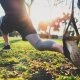 logo-Calisthenics & Parkourpark