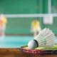 logo-Sportcenter Dassbeck - Badminton 