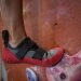 logo-Boulderwand