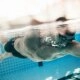 logo-Logo - Schwimmhalle Kreuzberg