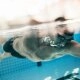 logo-Logo - Schwimmhalle Fischerinsel