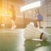 logo-Parkclub Nymphenburg - Badminton