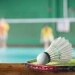 logo-Elite Fitzone Sportscenter - Badminton 